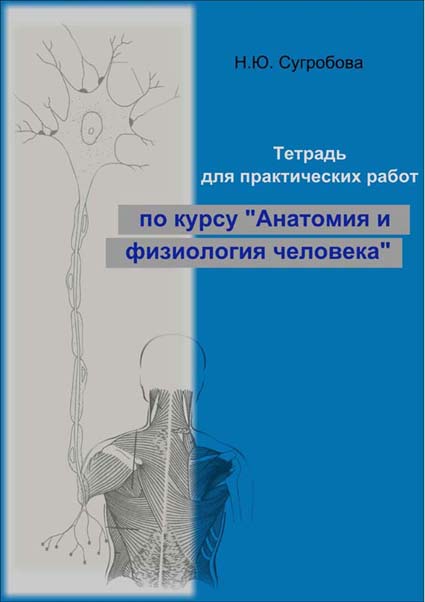 Тетрадь для практических работ по курсу «Анатомия и физиология человека»